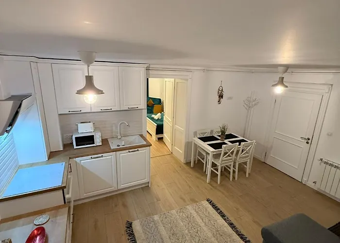 Hub Elite Apartment Brasov